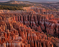 The Silent City, Bryce Canyon
