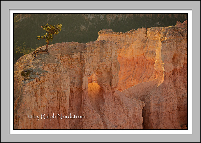 Window, Bryce