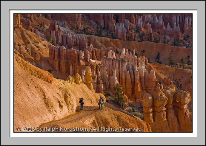 Bryce Workshop