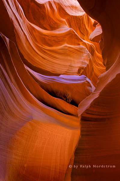 Lower Antelope Canyon 2, Arizona