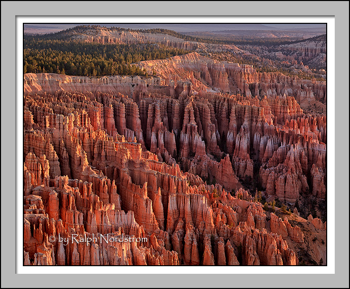 Silent City, Bryce
