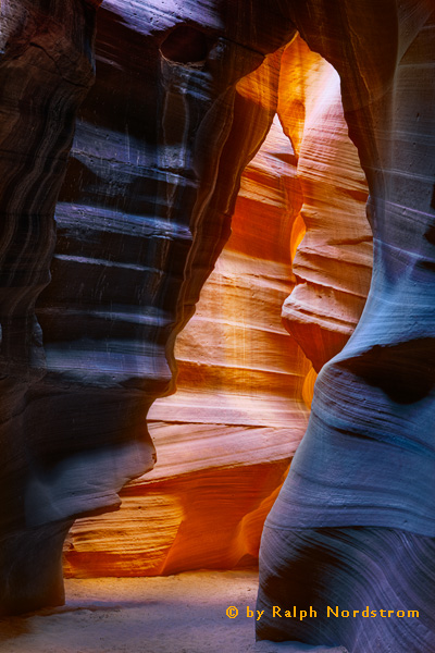 Spirit Bear, Upper Antelope Canyon, Arizona