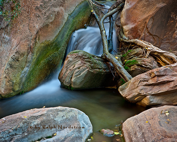 Zion Stream, Zion National Park, Utah