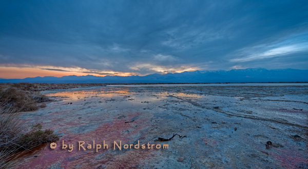 Pond near Mormon Point, Death Valley National Park, California