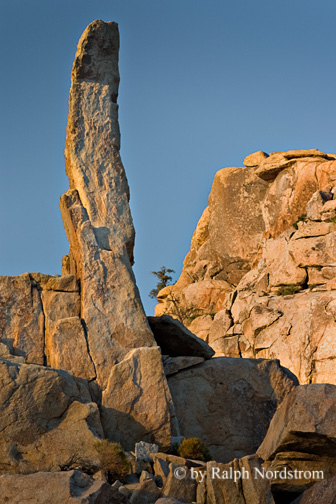 The Swan, Joshua Tree National Park, California