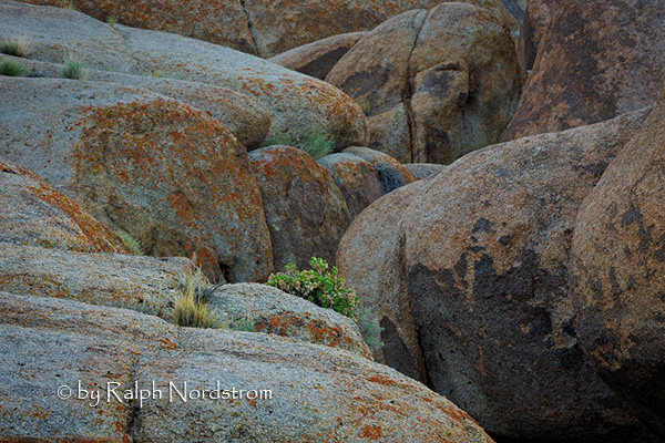 Alabama Hills Vignette (2010)