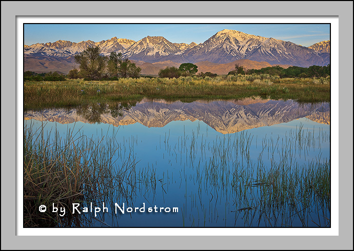 Pond, Owens Valley, Easterm Sierra, California