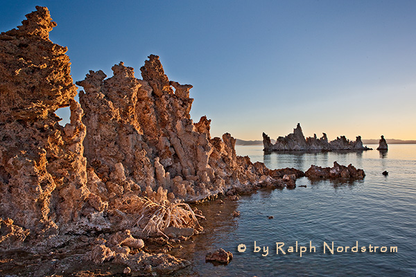 Tufa, Mono Lake 2010