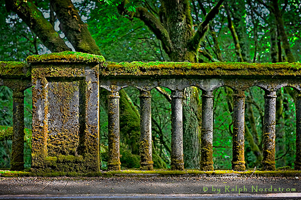 Latourell Bridge, Columbia River Gorge, Oregon