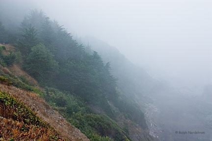 Misty Coast, Crescent City, California