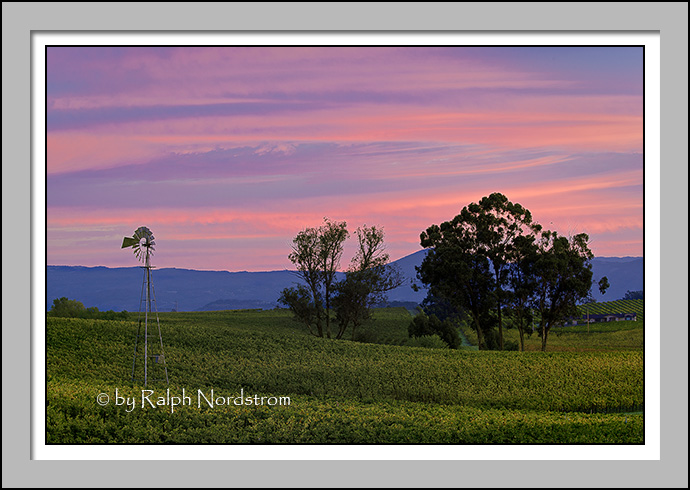 Napa Light, California