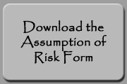 Download Assumption of Risk Form
