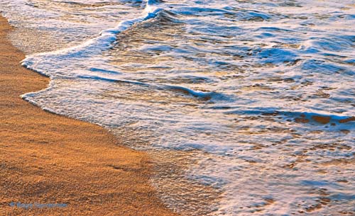 cabosurf9.jpg