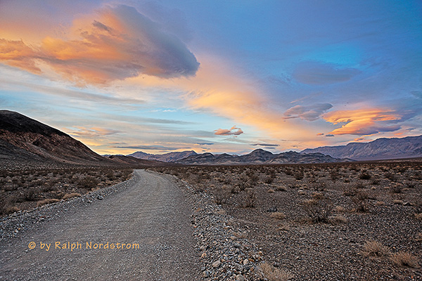 Racetrack Road