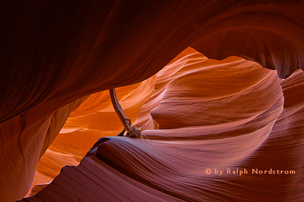 Lower Antelope Canyon 1 2008