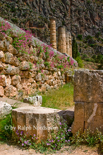 Temple of Apollo - Delphi