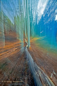 aspen grove explosion 20081 200x300 Merry Christmas