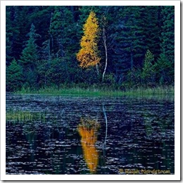 Minnesota Pond Twilight