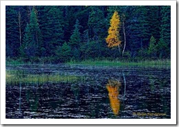 Minnesota Pond Twilight