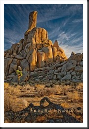 desert pinnacle impression 2010 thumb 2012 Joshua Tree Gathering