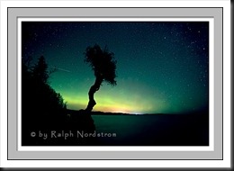 Star sky and northern lights, Spirit Tree, Grand Marais, Minnesota