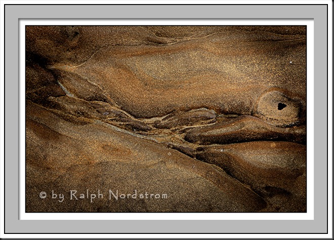 point_lobos_abstract_120809