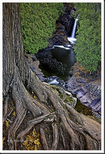 cascade_falls_tree_2011