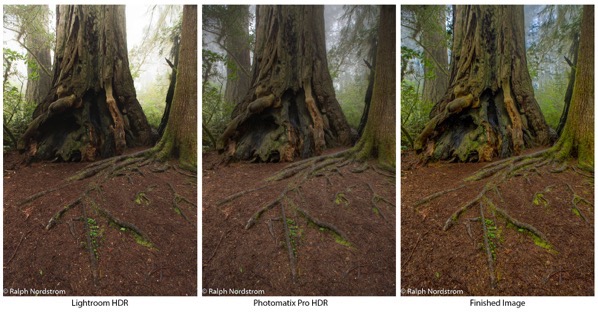 Redwoods hdr comparison