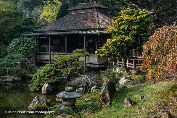 japanese tea garden, golden gate park