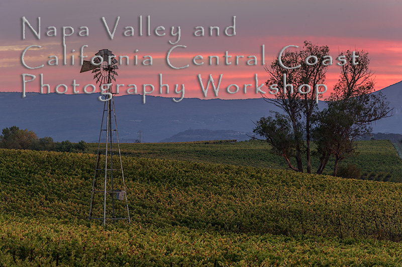 Napa Valley Photography Workshop November, 2018