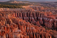 Bryce Canyon Photography Workshop